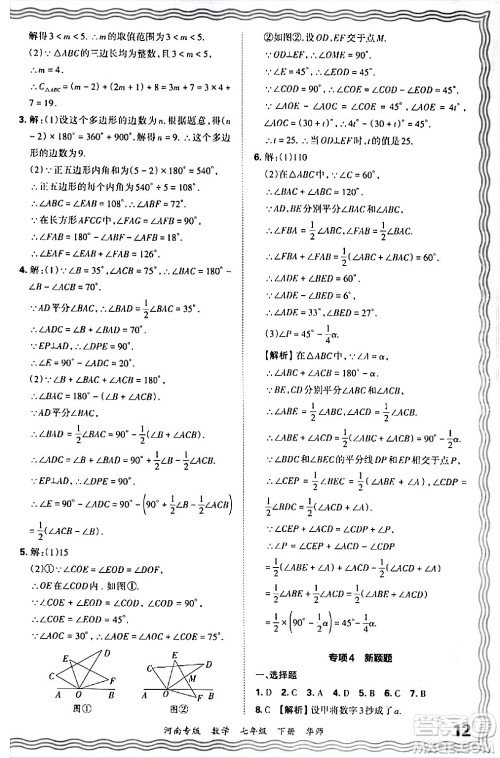 江西人民出版社2024年春王朝霞各地期末试卷精选七年级数学下册华师版河南专版答案 江西人民出版社2024年春王朝霞各地期末试卷精选七年级数学下册华师版河南专版答案