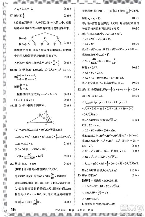 江西人民出版社2024年春王朝霞各地期末试卷精选九年级数学下册华师版河南专版答案