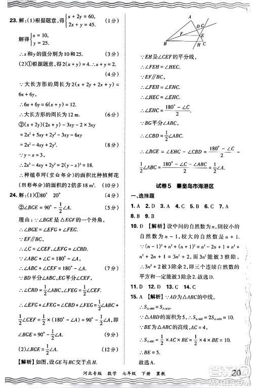 江西人民出版社2024年春王朝霞各地期末试卷精选七年级数学下册冀教版河北专版答案