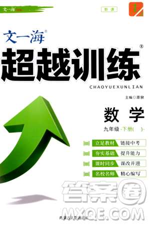 内蒙古大学出版社2024年春超越训练九年级数学下册人教版答案