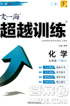 内蒙古大学出版社2024年春超越训练九年级化学下册人教版答案 内蒙古大学出版社2024年春超越训练九年级化学下册人教版答案