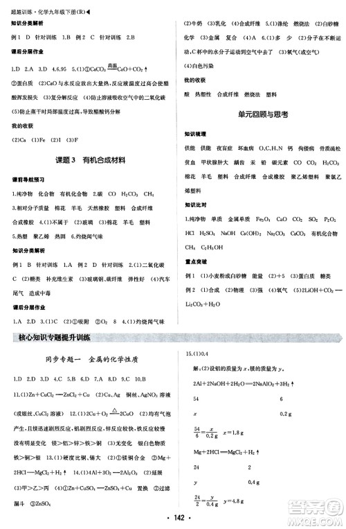 内蒙古大学出版社2024年春超越训练九年级化学下册人教版答案 内蒙古大学出版社2024年春超越训练九年级化学下册人教版答案
