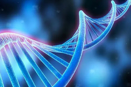 人究其实质而言就是我们关于他们的记忆材料作文800字 人究其实质而言就是我们关于他们的记忆材料作文800字