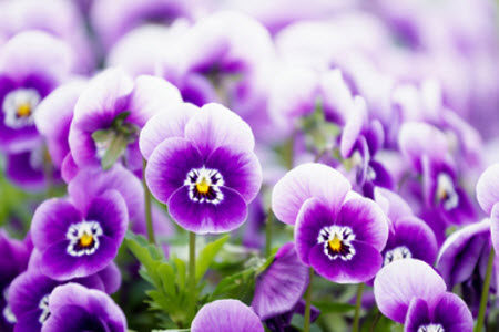 每个季节都有其主打色彩材料作文800字 关于每个季节都有其主打色彩的材料作文800字 每个季节都有其主打色彩材料作文800字 关于每个季节都有其主打色彩的材料作文800字