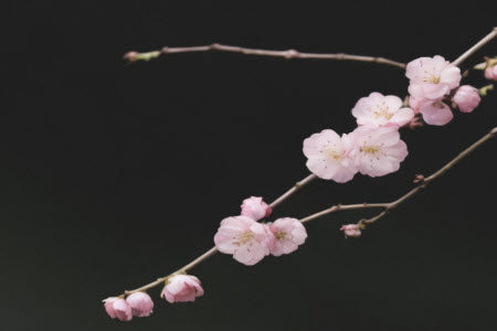 孤芳自赏材料作文800字 关于孤芳自赏的材料作文800字