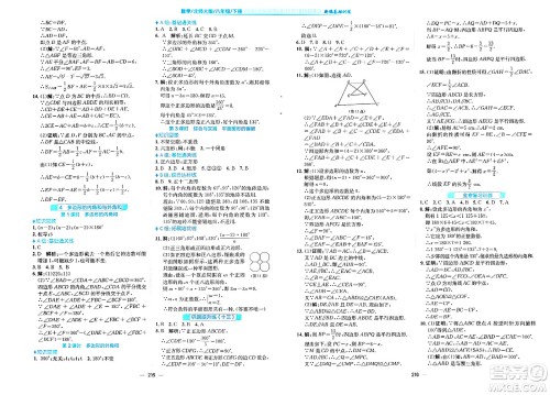 安徽教育出版社2024年春新编基础训练八年级数学下册北师大版答案
