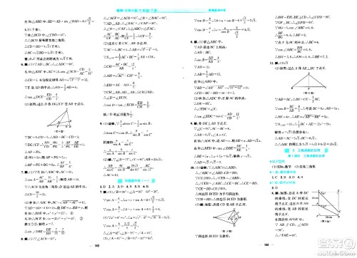 安徽教育出版社2024年春新编基础训练九年级数学下册北师大版答案
