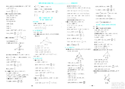 安徽教育出版社2024年春新编基础训练九年级数学下册北师大版答案