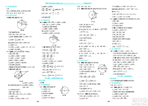 安徽教育出版社2024年春新编基础训练九年级数学下册北师大版答案