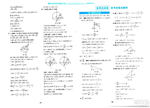 安徽教育出版社2024年春新编基础训练九年级数学下册北师大版答案