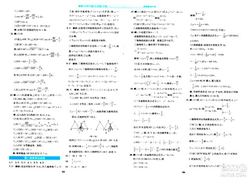 安徽教育出版社2024年春新编基础训练九年级数学下册北师大版答案