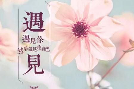 最重要的遇见为题作文600字 关于最重要的遇见为题目作文600字 最重要的遇见为题作文600字 关于最重要的遇见为题目作文600字