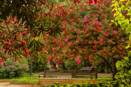 生活中的小插曲为题作文600字 关于生活中的小插曲为题目的作文600字 生活中的小插曲为题作文600字 关于生活中的小插曲为题目的作文600字