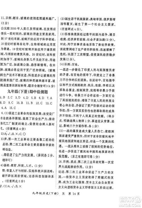 吉林教育出版社2024年春启航新课堂九年级历史下册人教版答案