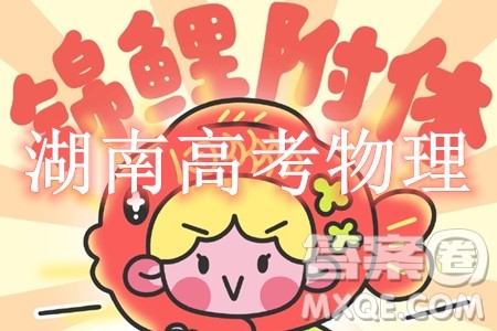 2024高考真题湖南卷物理试卷答案解析