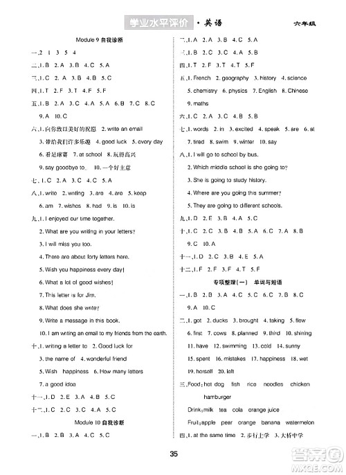崇文书局2024年春学业水平评价核心素养提升专练六年级英语下册外研版答案