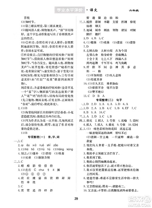 崇文书局2024年春学业水平评价核心素养提升专练六年级语文下册通用版答案