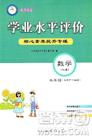 崇文书局2024年春学业水平评价核心素养提升专练七年级数学下册人教版答案