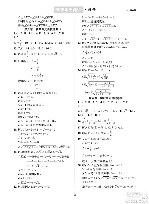崇文书局2024年春学业水平评价核心素养提升专练七年级数学下册人教版答案