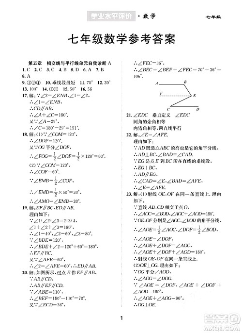 崇文书局2024年春学业水平评价核心素养提升专练七年级数学下册人教版答案