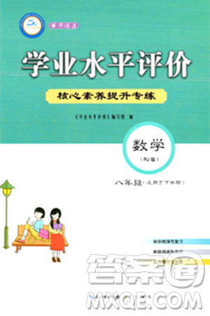 崇文书局2024年春学业水平评价核心素养提升专练八年级数学下册人教版答案