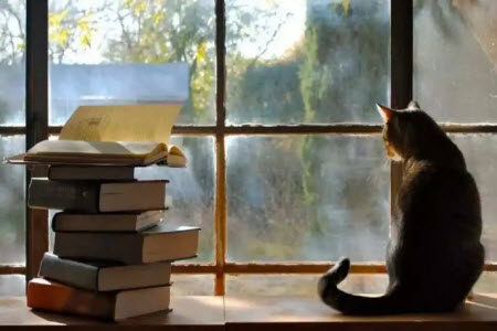 谈敬畏为题议论文作文800字 关于谈敬畏为题的议论文作文800字 谈敬畏为题议论文作文800字 关于谈敬畏为题的议论文作文800字