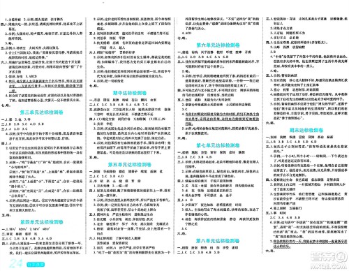 阳光出版社2024年春自主课堂五年级语文下册人教版答案