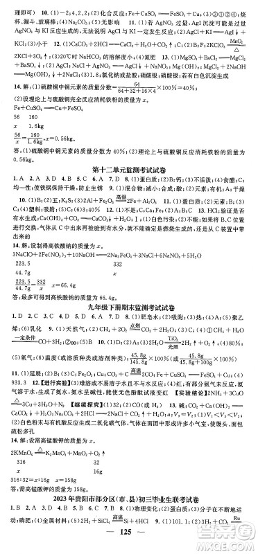 天津科学技术出版社2024年春名校智慧智慧学堂九年级化学下册人教版答案