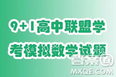 浙江2024年高二下学期9+1高中联盟学考模拟数学试题答案