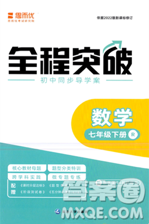 延边大学出版社2024年春全程突破初中同步导学案七年级数学下册人教版答案