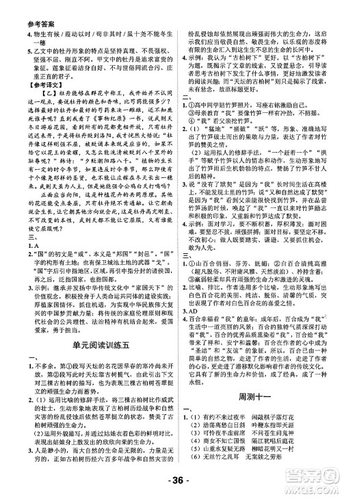 延边大学出版社2024年春全程突破初中同步导学案七年级语文下册课标版答案 延边大学出版社2024年春全程突破初中同步导学案七年级语文下册课标版答案