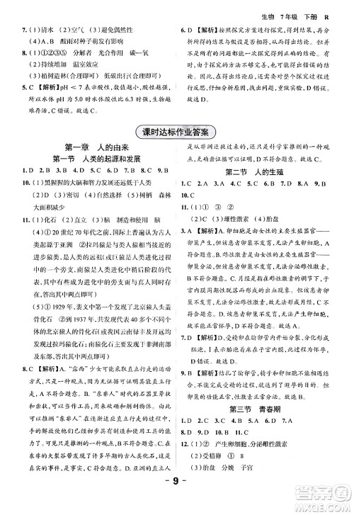 延边大学出版社2024年春全程突破初中同步导学案七年级生物下册人教版答案 延边大学出版社2024年春全程突破初中同步导学案七年级生物下册人教版答案