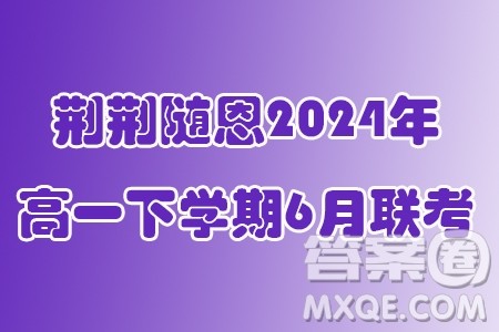 湖北省宜荆荆随恩2024年高一下学期6月联考数学试卷答案 湖北省宜荆荆随恩2024年高一下学期6月联考数学试卷答案