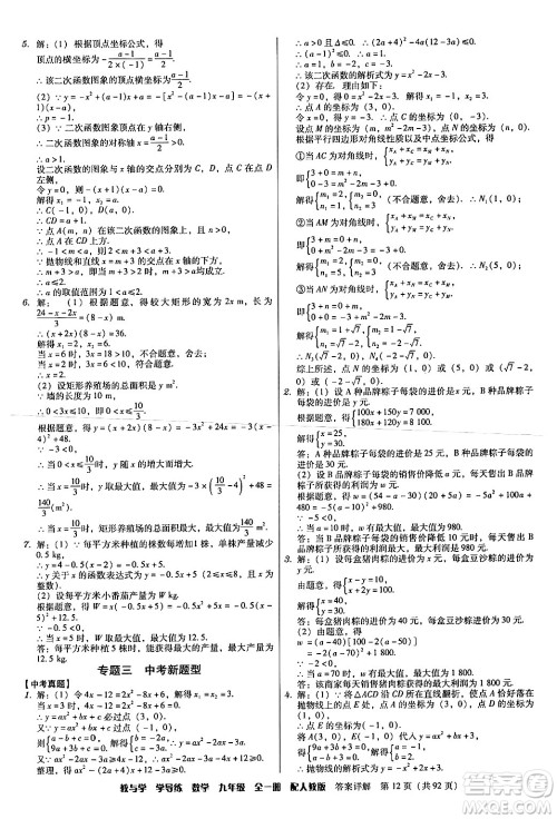 安徽人民出版社2024年春教与学学导练九年级数学下册人教版答案