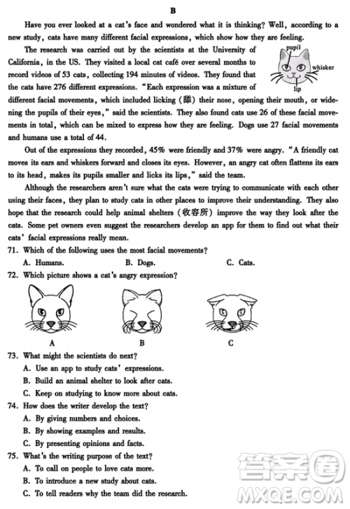 2024成都中考英语真题答案 2024成都中考英语真题答案