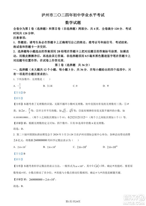 2024泸州中考数学真题答案
