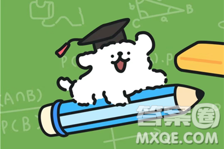 2024南充中考物理真题答案