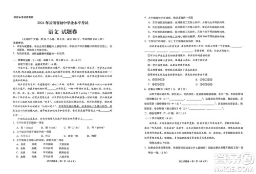 2024云南中考语文真题答案 2024云南中考语文真题答案