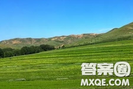 旷野文学材料作文800字 关于旷野文学的材料作文800字