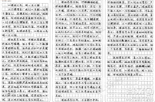 只有当人们用理性来思考的时候才能体现我存在的真正意义材料作文800字