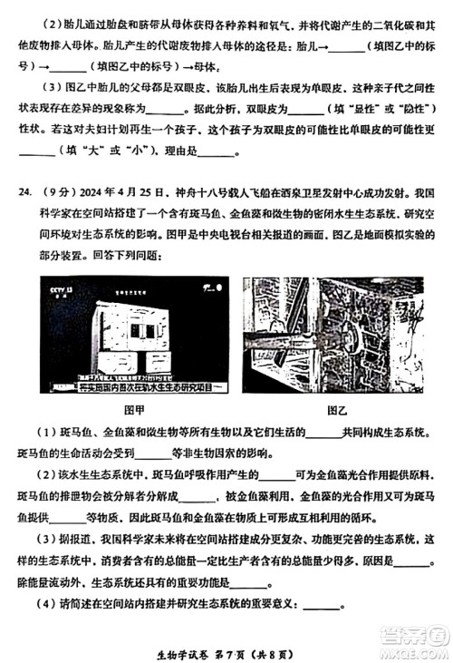 2024成都中考生物真题答案