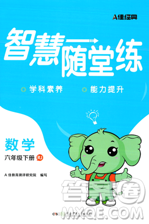 湖南少年儿童出版社2024年春智慧随堂练六年级数学下册人教版答案
