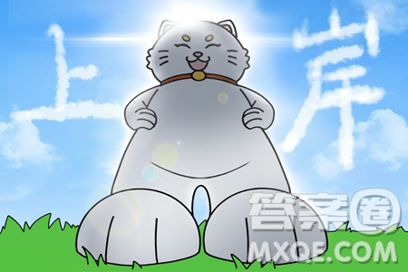 2024河南中考化学真题答案