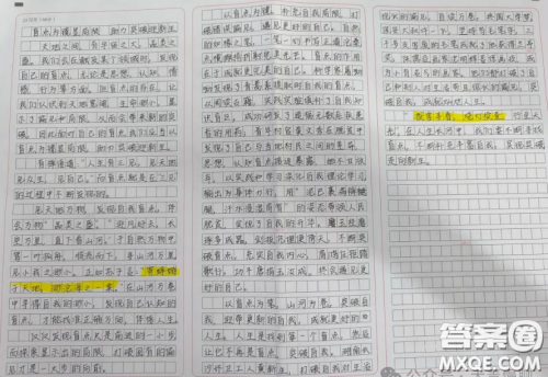 盲点与突破材料作文800字 关于盲点与突破的材料作文800字 盲点与突破材料作文800字 关于盲点与突破的材料作文800字