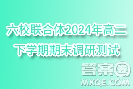 江苏南京六校联合体2024年高二下学期期末调研测试数学试卷答案