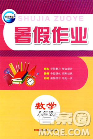 新疆青少年出版社2024年春高效课堂暑假作业八年级数学通用版答案