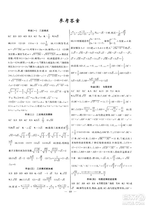 新疆青少年出版社2024年春高效课堂暑假作业八年级数学通用版答案