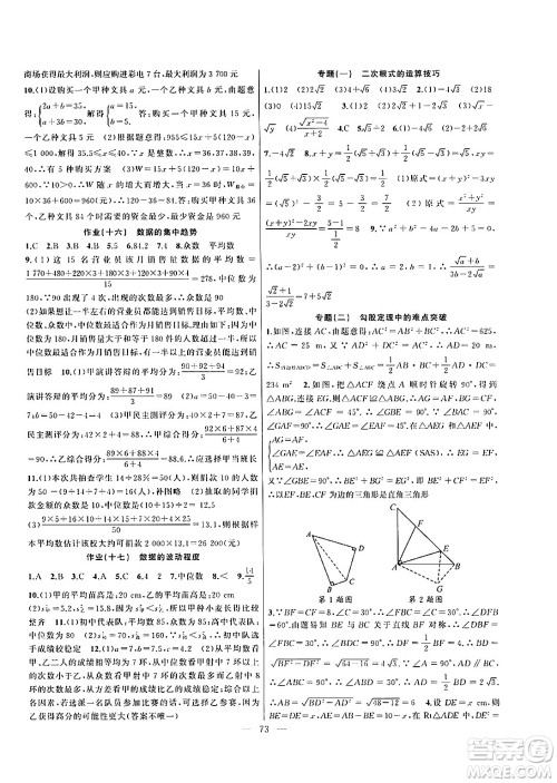 新疆青少年出版社2024年春高效课堂暑假作业八年级数学通用版答案