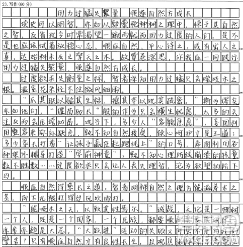 郭橐驼种树材料作文800字 关于郭橐驼种树的材料作文800字