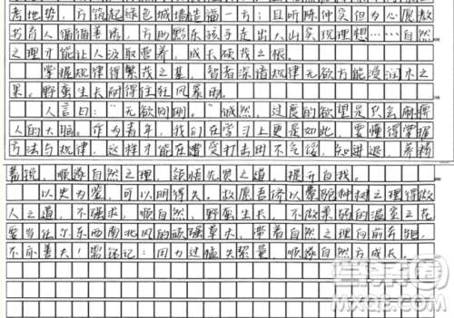 郭橐驼种树材料作文800字 关于郭橐驼种树的材料作文800字